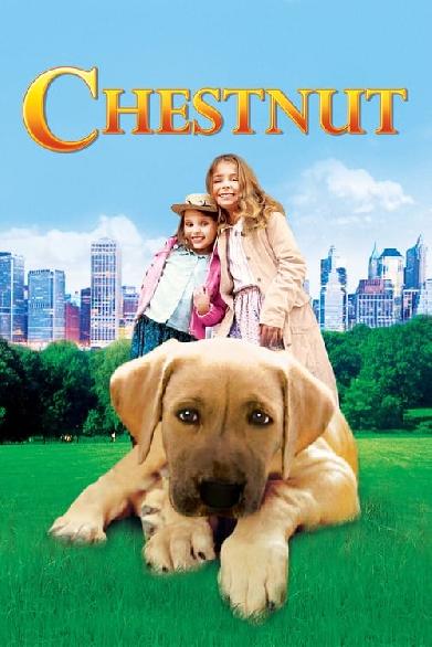 Chestnut - Der Held vom Central Park