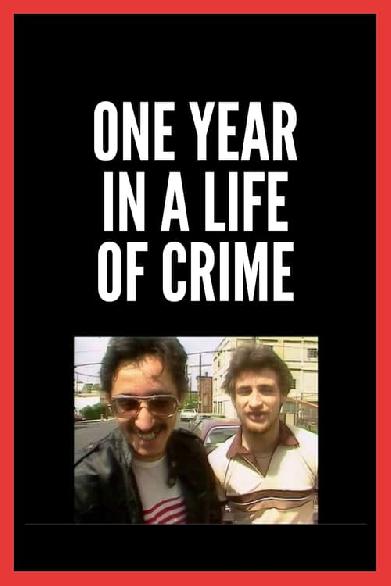 One Year in a Life of Crime