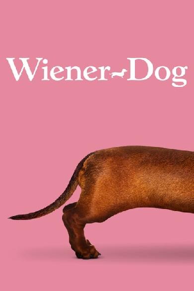 Wiener Dog