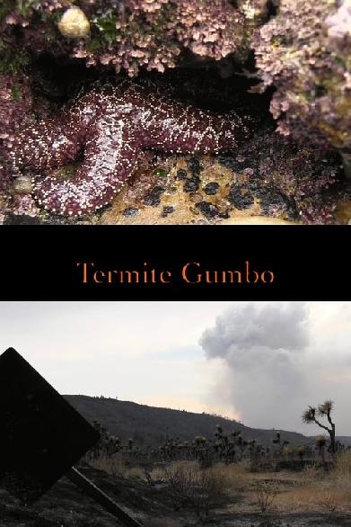 Termite Gumbo