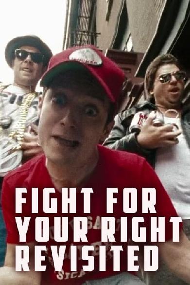 Fight for Your Right Revisited