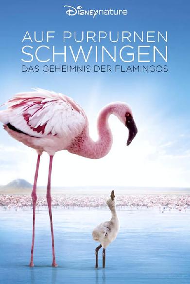 Auf purpurnen Schwingen: Das Geheimnis der Flamingos