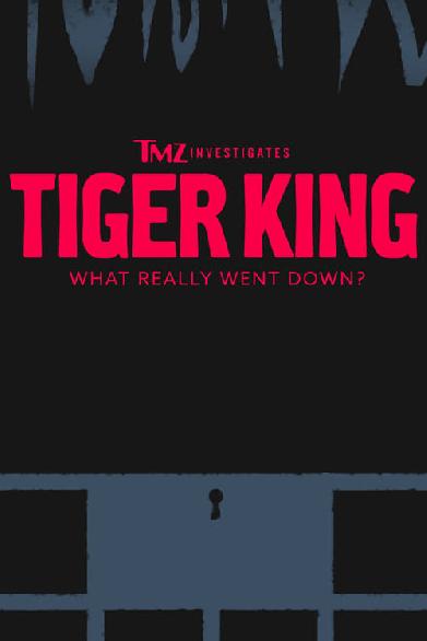 TMZ Investigates: Tiger King - What Really Went Down