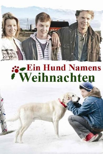 Ein Hund namens Weihnachten