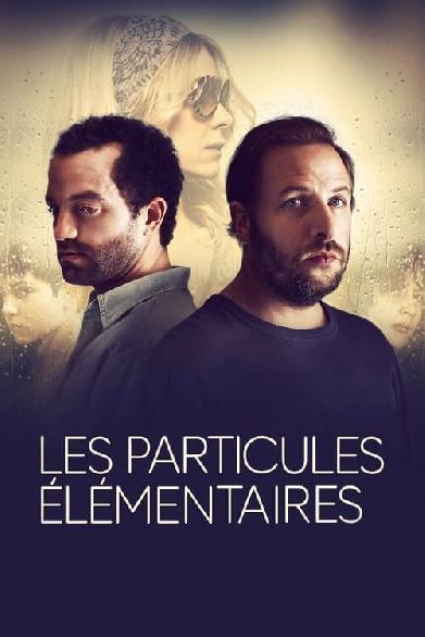 Les particules élémentaires