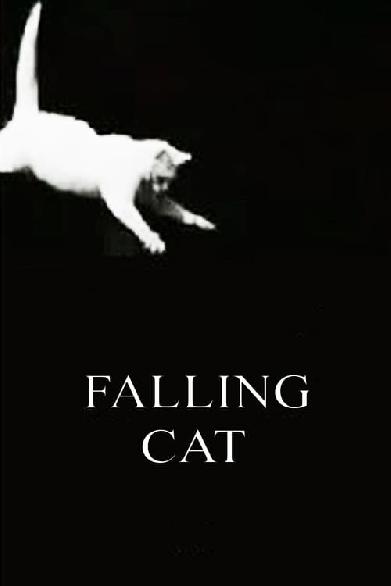 Falling Cat