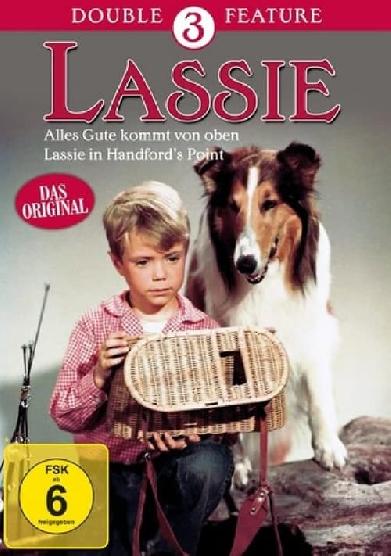 Lassie in Handford’s Point