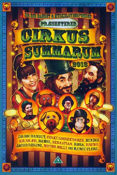 Cirkus Summarum 2013