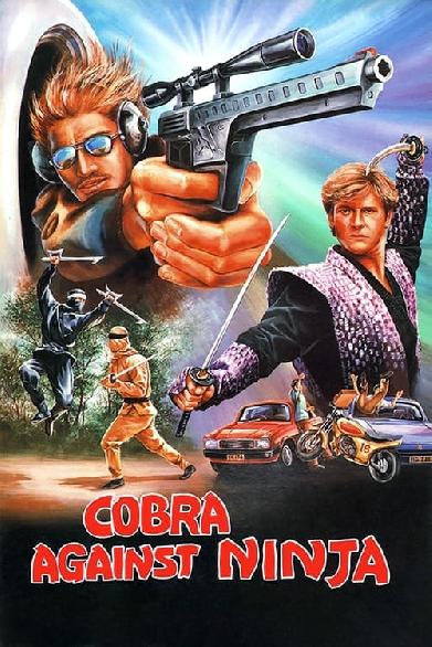 Cobra Against Ninja