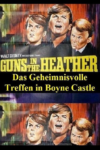 Das geheimnisvolle Treffen in Boyne Castle