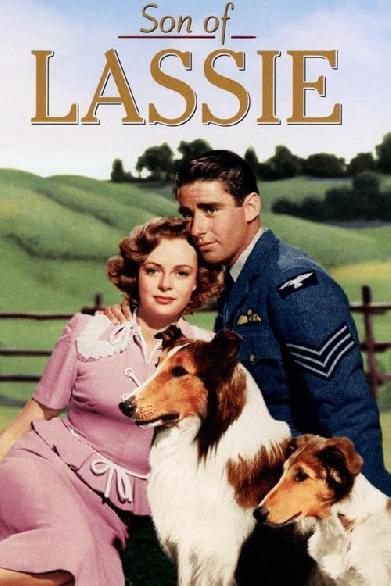 Son of Lassie