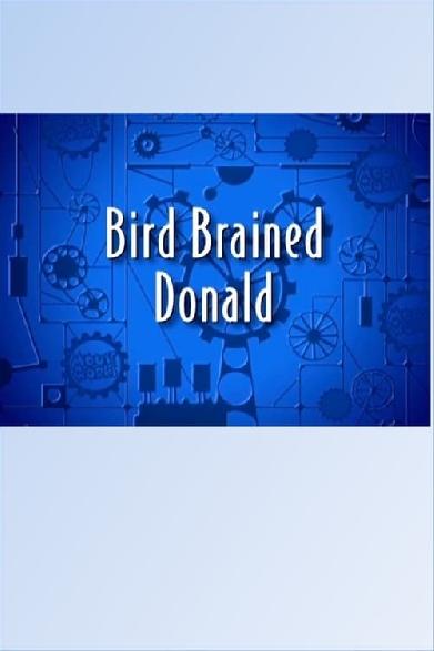 Bird Brained Donald