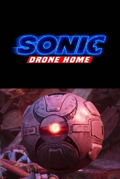 Sonic und die Drohne