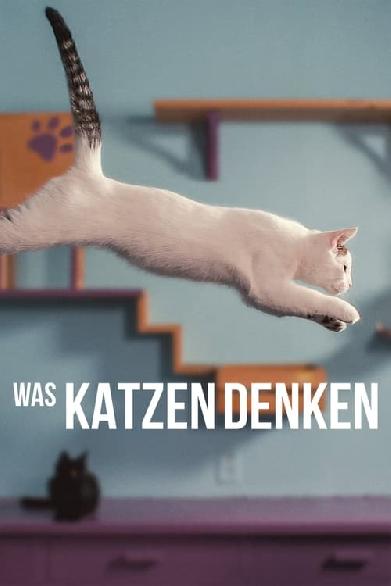 Was Katzen denken