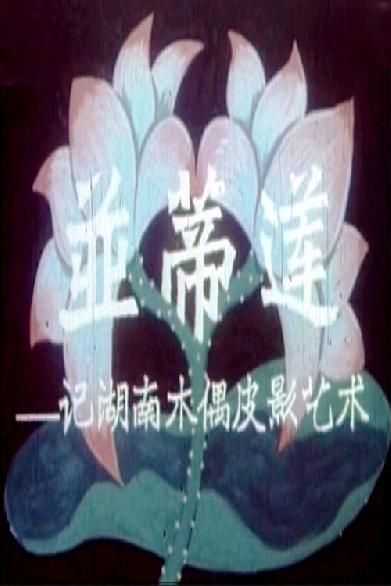 并蒂莲