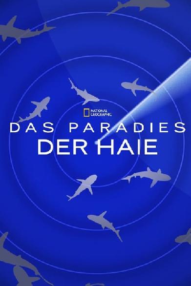 Das Paradies der Haie